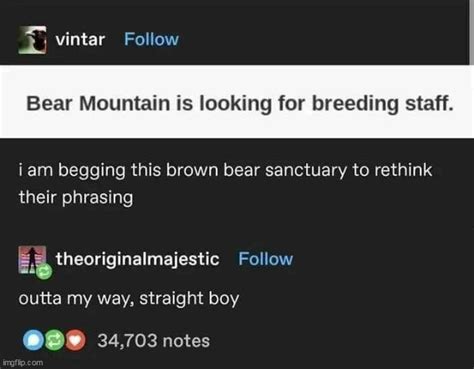 breeding gay bears